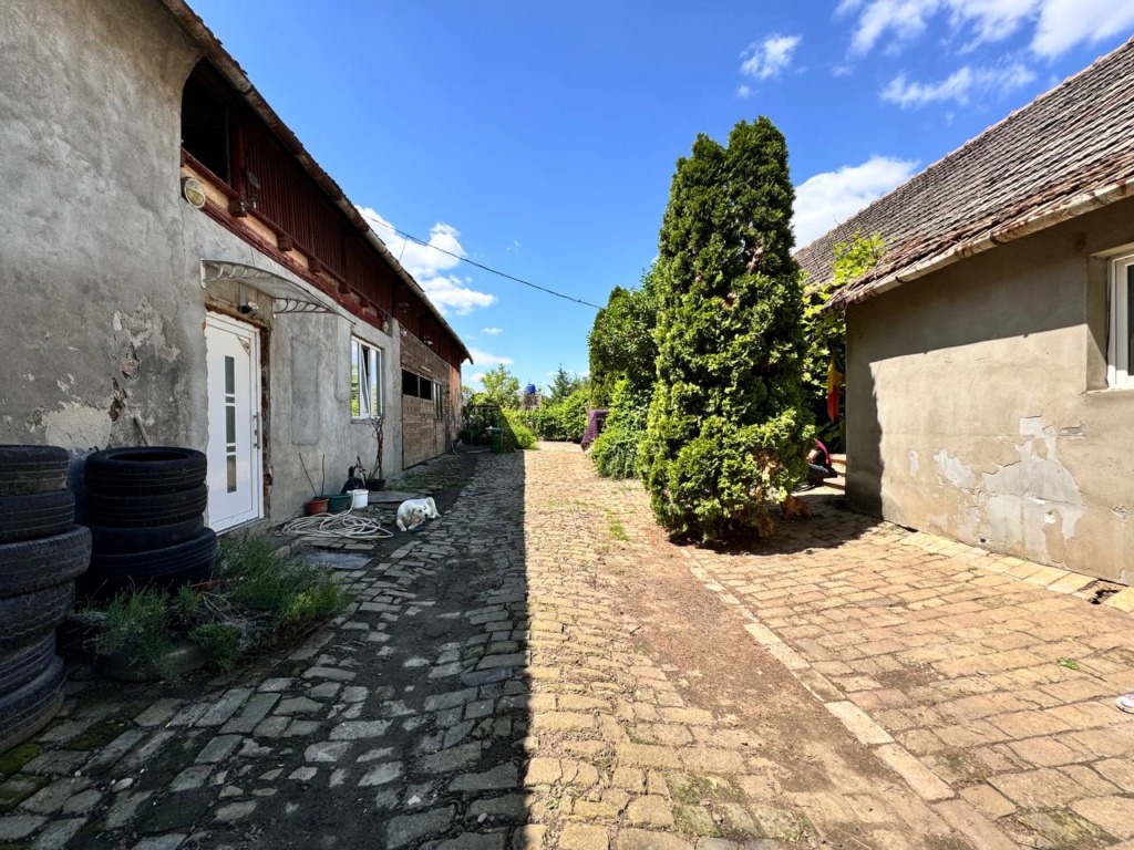 Casa de vânzare in Iecea Mare