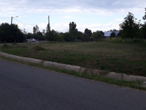 Teren Videle 1500mp deschidere 70m posibil afacere