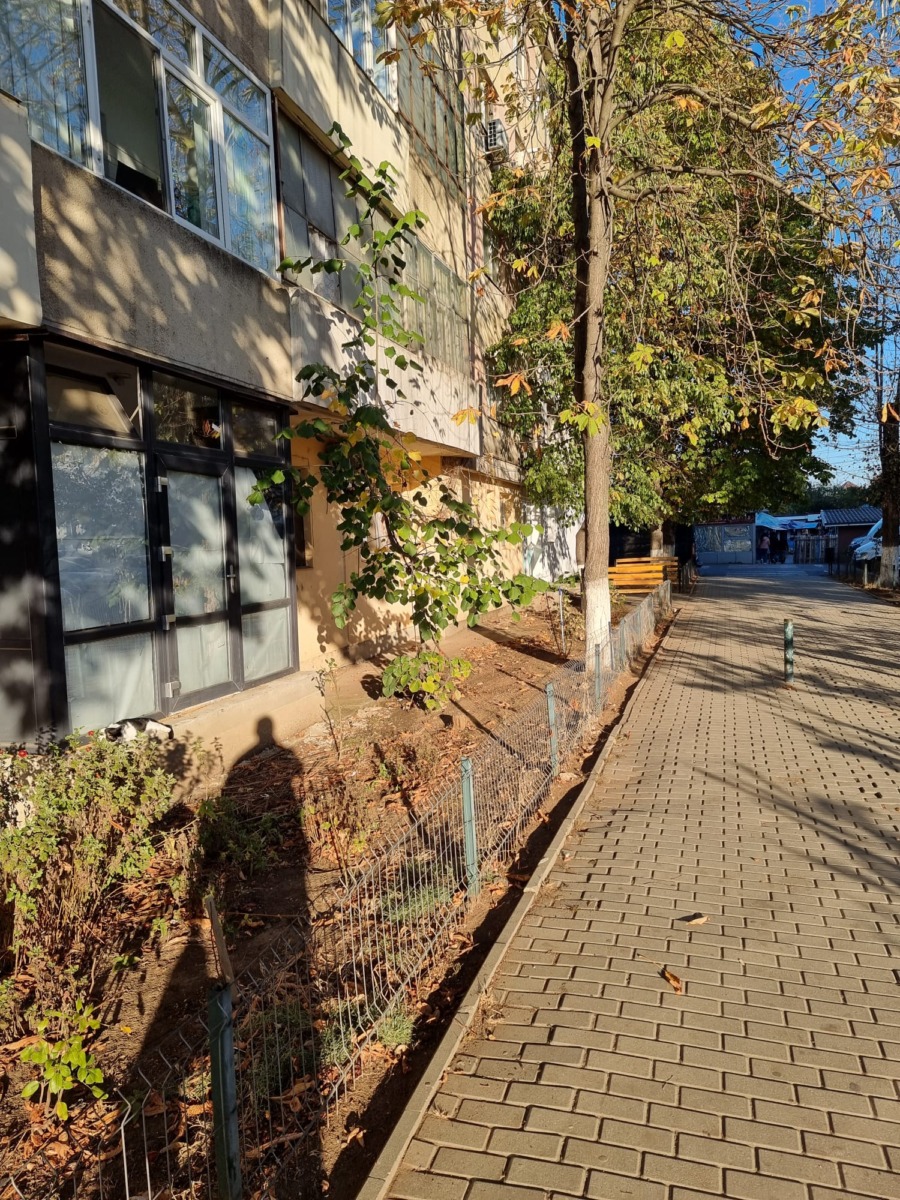 Spatiu comercial Stradal Central Pietonal Videle