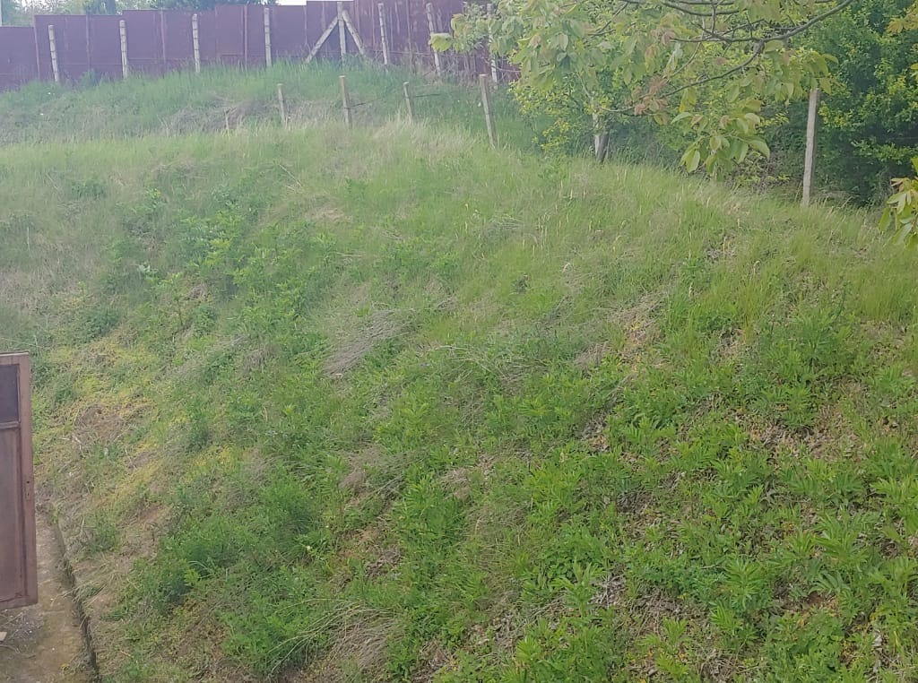 Teren intravilan intabulat stradal comerci Videle