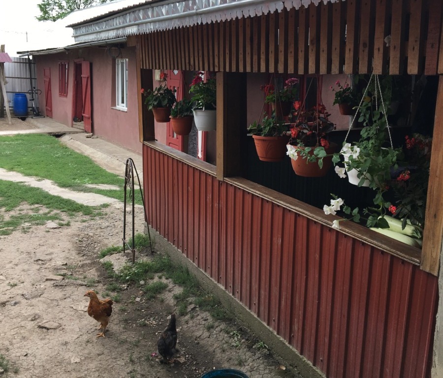 Casa traditionala 4.600mp