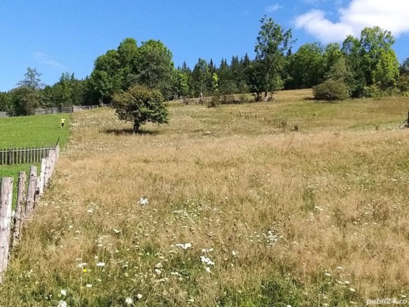 Teren de vis in Valea Doftanei