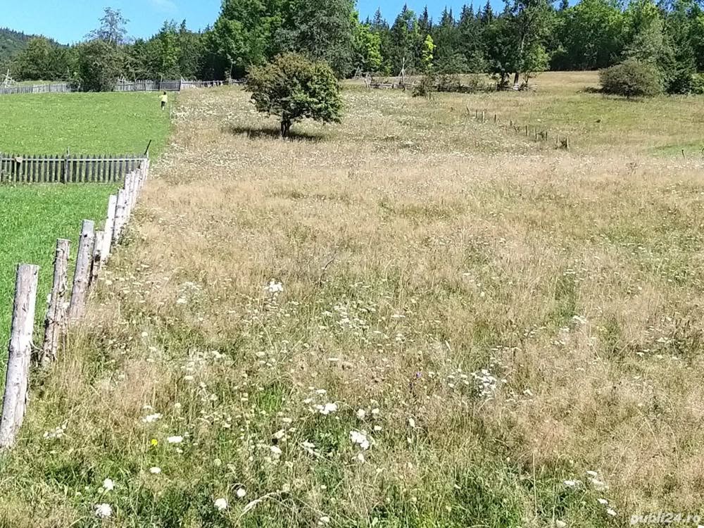 Teren de vis in Valea Doftanei