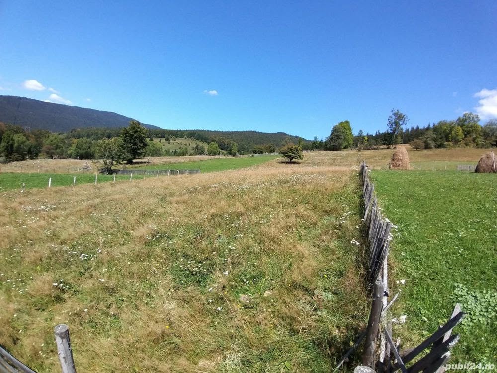 Teren de vis in Valea Doftanei