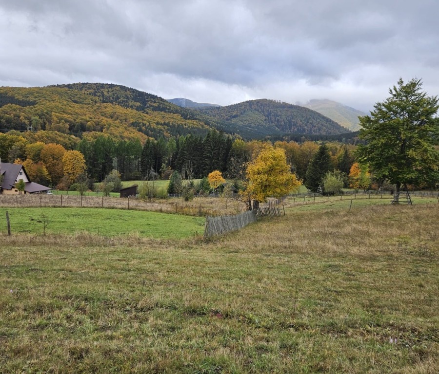 Teren de vanzare