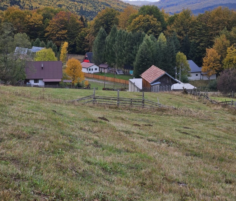 Teren de vanzare
