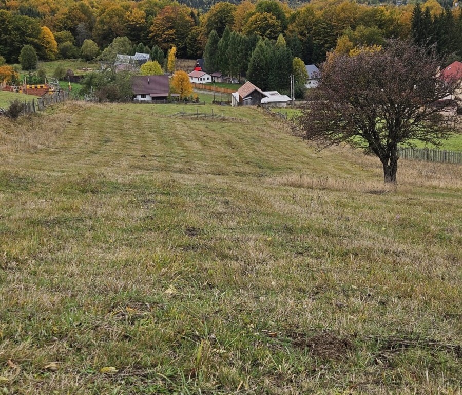 Teren de vanzare