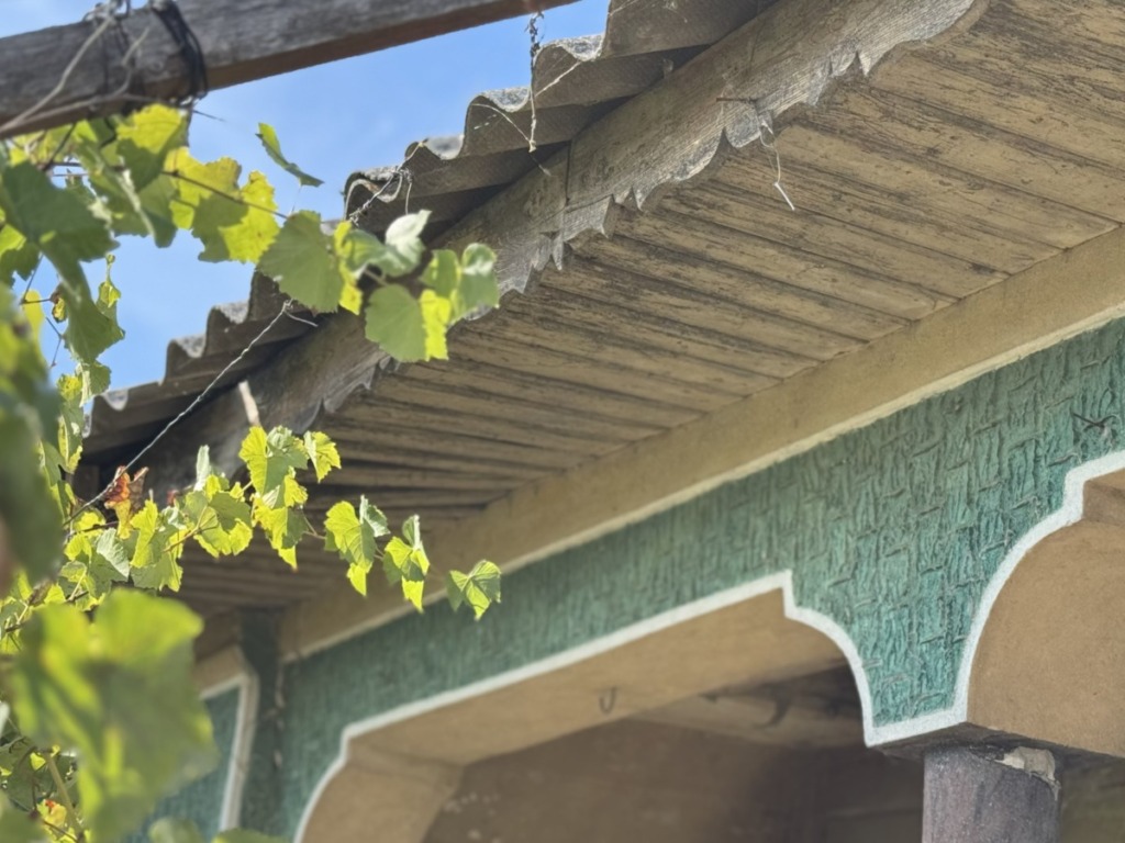 Proprietate Comuna Comana 25km Bucuresti
